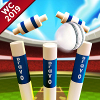 cricket-world-cup-game-2019-mini-ground-cricke